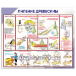 Стенд "Пиление древесины"