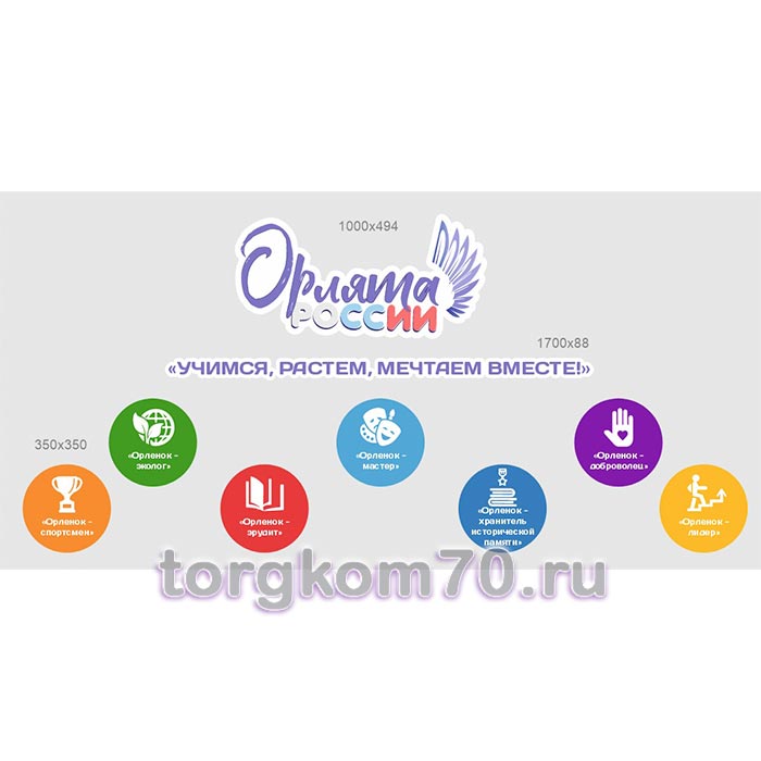 55d045d6d7db11ef8ae48af3fd022432_0904b0e0d7de11ef8ae48af3fd022432 Композиция стендов "Орлята России" — изображение 1