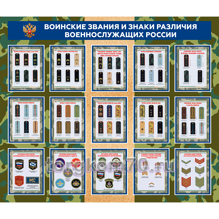 687f168ab02c11ee9f2f8af3fd022432_68ac27bab02c11ee9f2f8af3fd022432 Стенд "Воинские звания и знаки различия военнослужащих России" — изображение 1