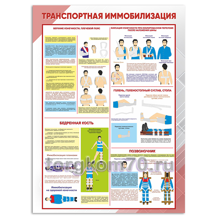 7cf3625ab02d11ee9f2f8af3fd022432_7d22c5a4b02d11ee9f2f8af3fd022432 Стенд "Транспортная иммобилизация" — изображение 1