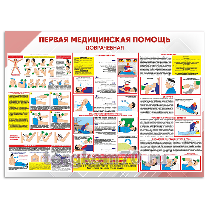 a83c6b8eb03011ee9f2f8af3fd022432_a8725af0b03011ee9f2f8af3fd022432 Стенд "Первая медицинская помощь (доврачебная)" — изображение 1