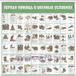 Стенд "Первая помощь в военных условиях"