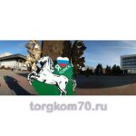 Уличная фигура «Я люблю Томск» — изображение 3