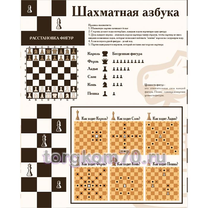c4c2ddaa6b8311f09d1e8af3fd022432_f9e94f006b8311f09d1e8af3fd022432 Стенд "Шахматная азбука" — изображение 1