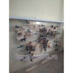 Карта мира из дерева на оргстекле + резиновые фигурки животных — изображение 3