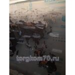 Карта мира из дерева на оргстекле + резиновые фигурки животных — изображение 5