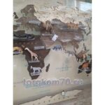 Карта мира из дерева на оргстекле + резиновые фигурки животных — изображение 6