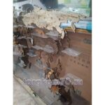 Карта мира из дерева на оргстекле + резиновые фигурки животных — изображение 9