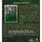 Таблички к экологической тропе — изображение 2