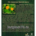 Таблички к экологической тропе — изображение 3