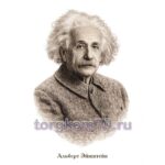 Плакат для кабинета физики «Молодежь и дети» (Эйнштейн)